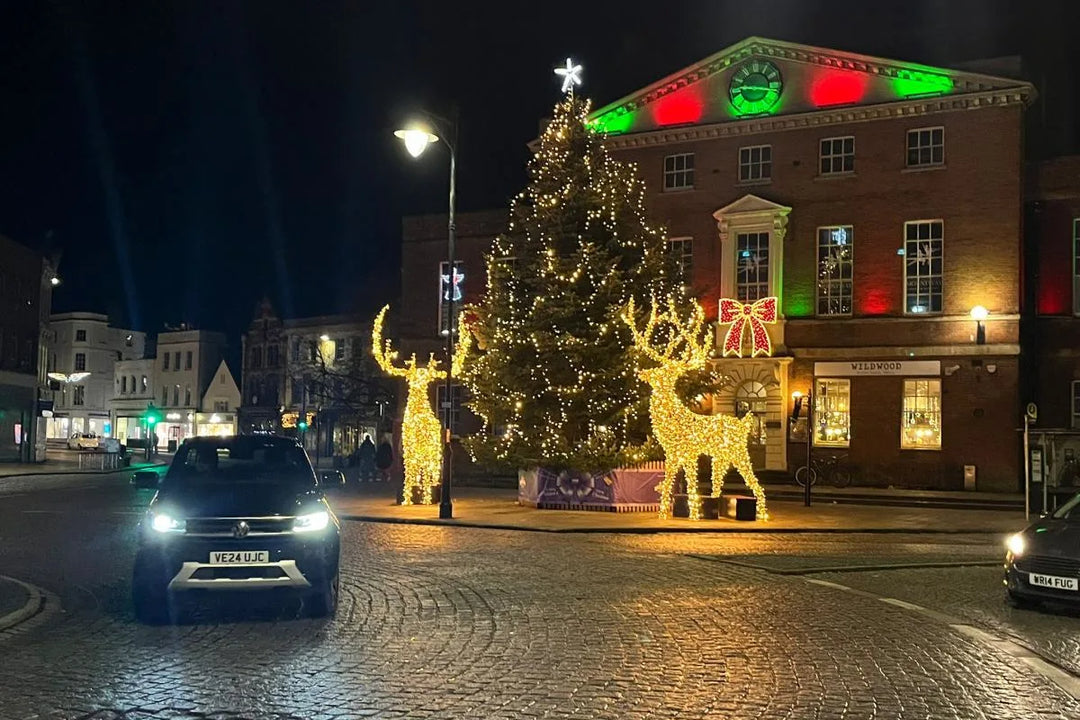 3D Prelit "XL Giant Reindeer" - 5m Tall