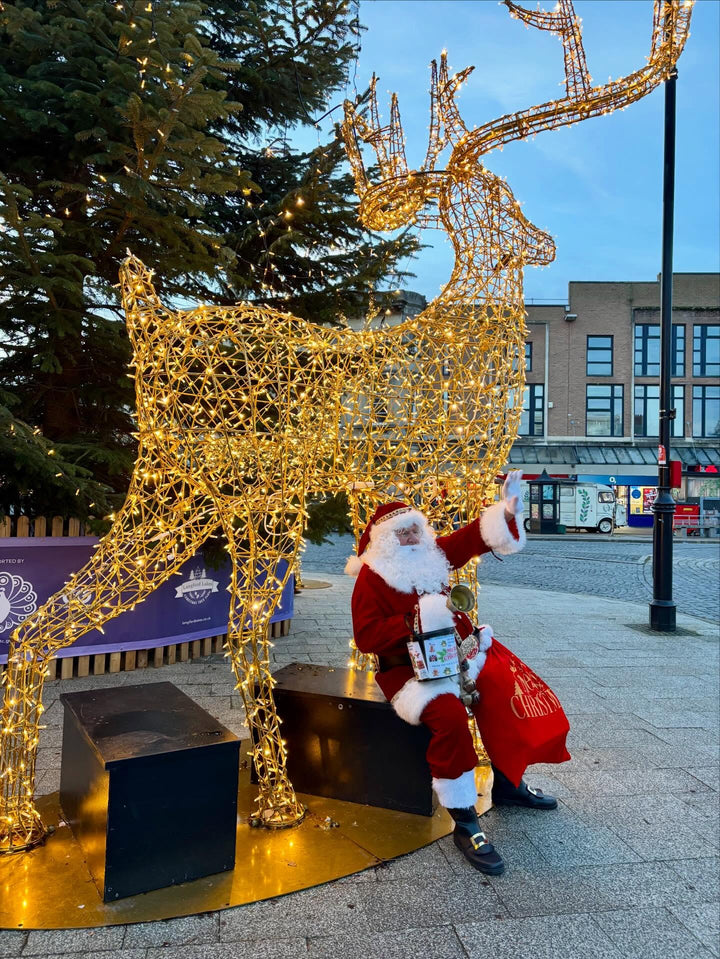 3D Prelit "XL Giant Reindeer" - 5m Tall