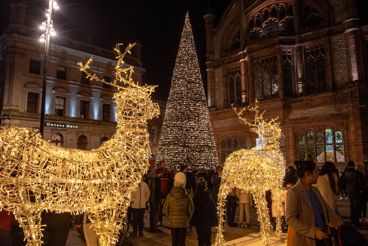 3D Prelit "Comet" Reindeer - 1.9m Tall - Aluminium Structure