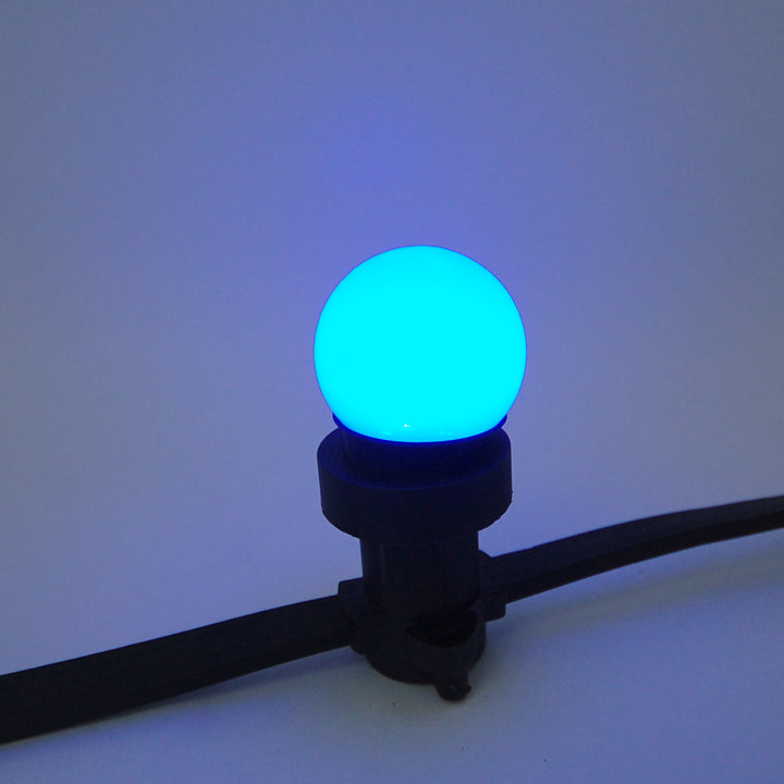 Pro Festoon Bulbs E27 - 6 LEDs - 1 watt
