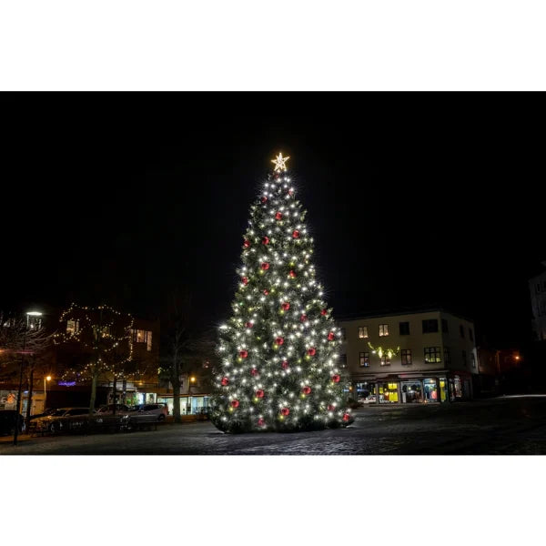 Festoon Pro Lights - E27 Socket Harness – 9m, 15m, 50m or 100m Roll – 1 Lamp per Metre - IP65