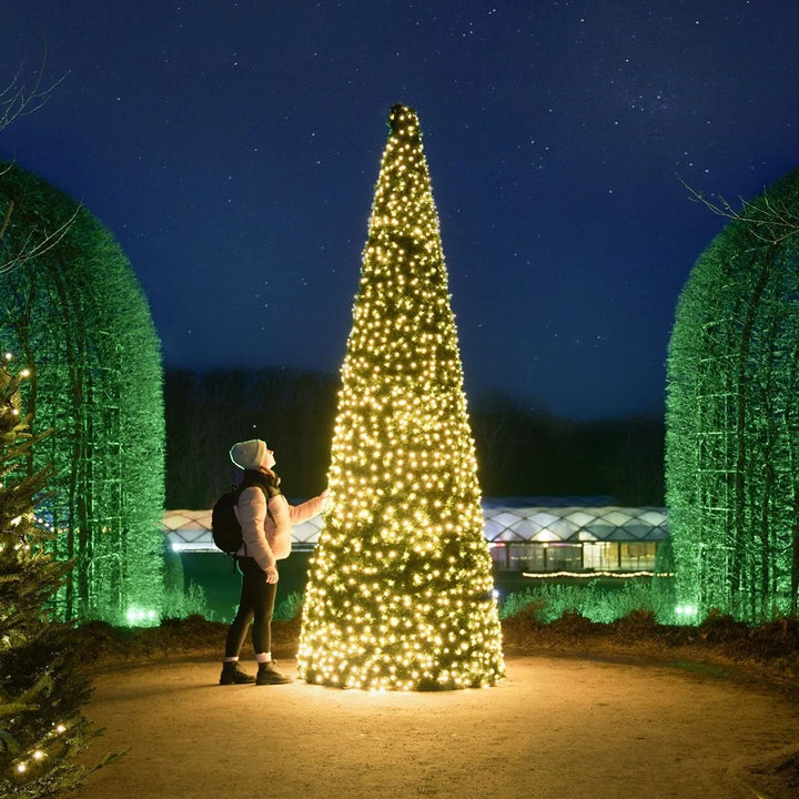 3D Branch Cone Tree with Star Topper