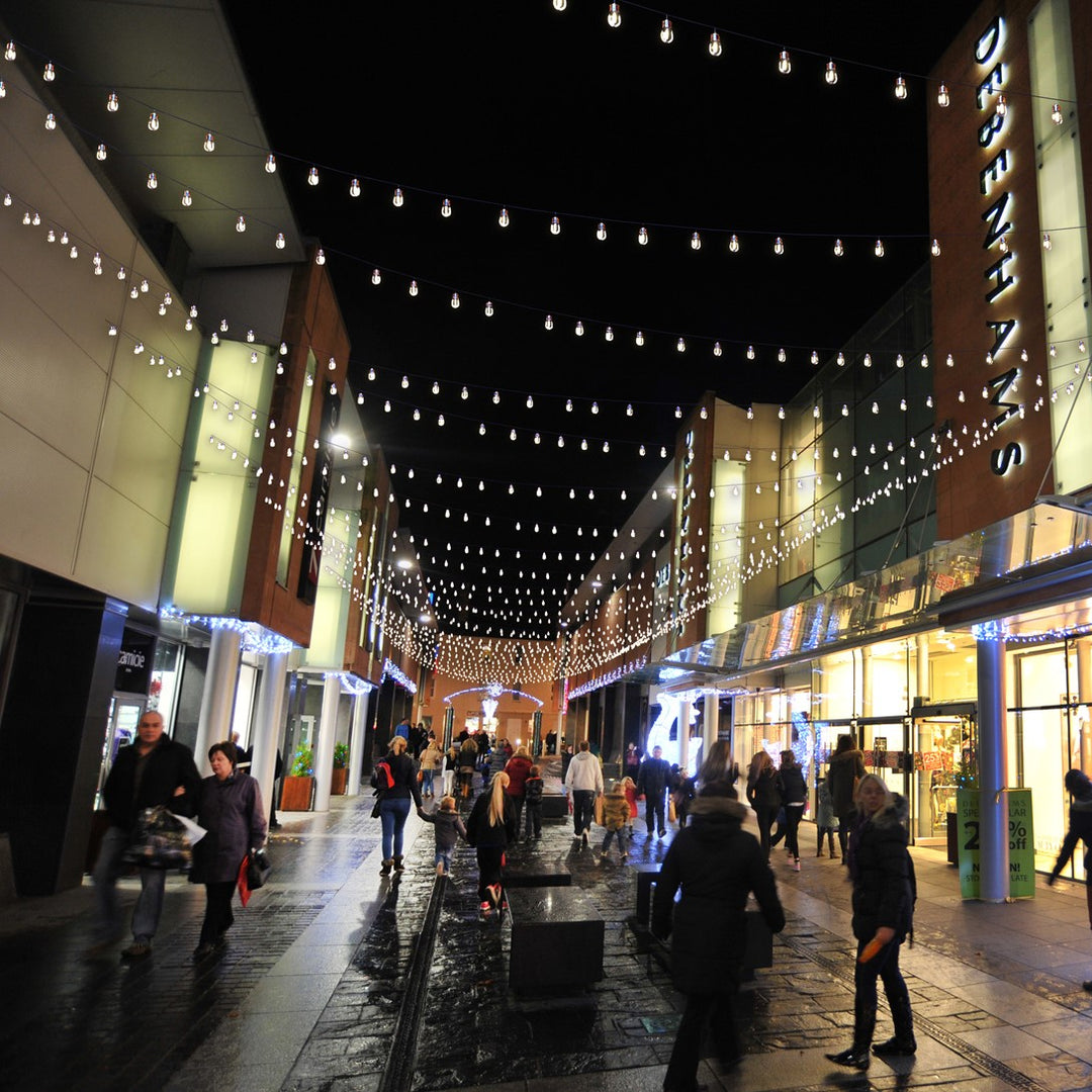 Festoon Pro Lights - E27 Socket Harness – 9m, 15m, 50m or 100m Roll – 1 Lamp per Metre - IP65